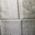 Pista Green cut work soft tussar silk saree