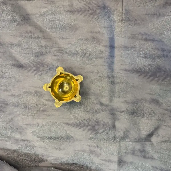 Grey with self leaf design fancy saree