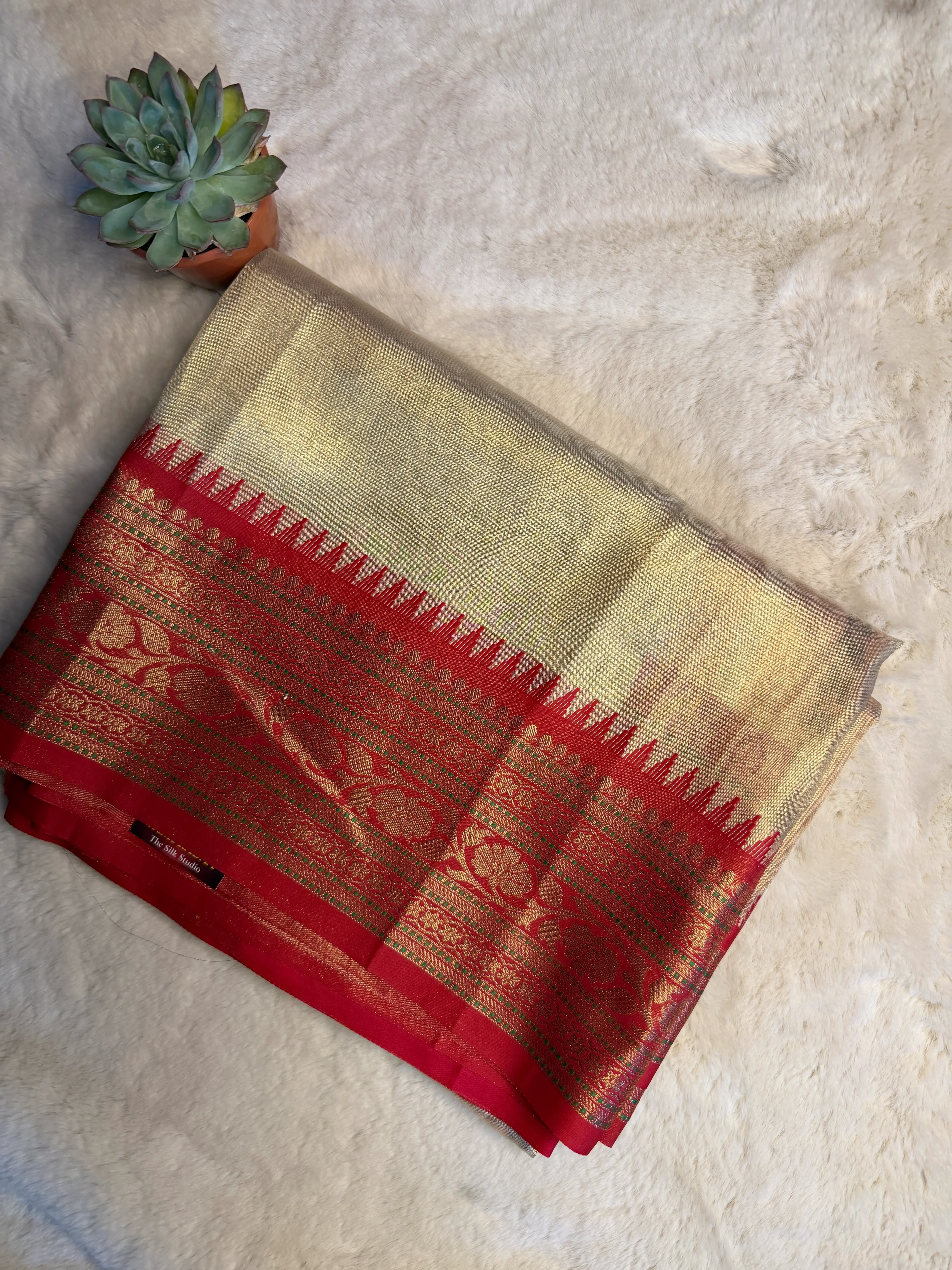 Gold Tissue With Grand Border Saree