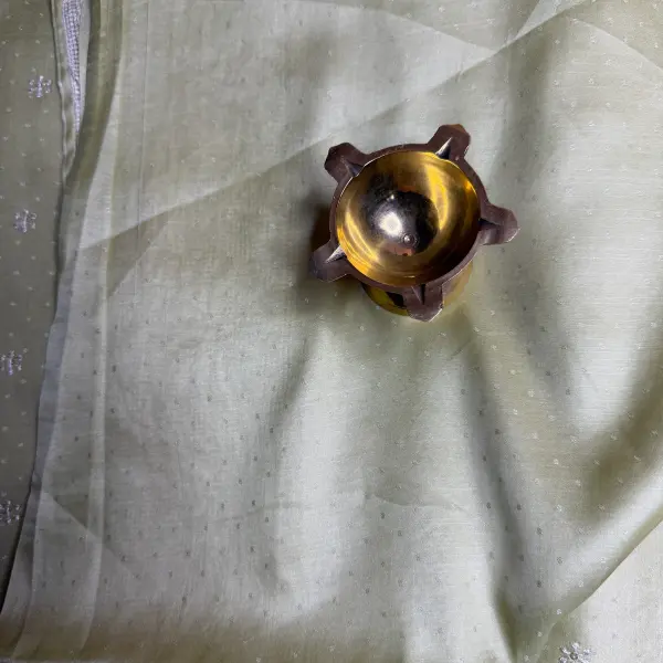 Pista Green with Thread Work fancy saree