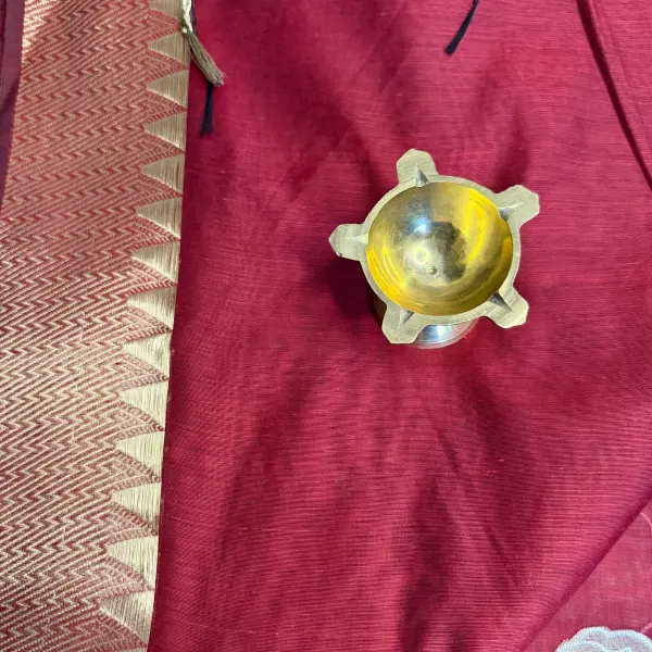 Maroon Applique Work Fancy Saree