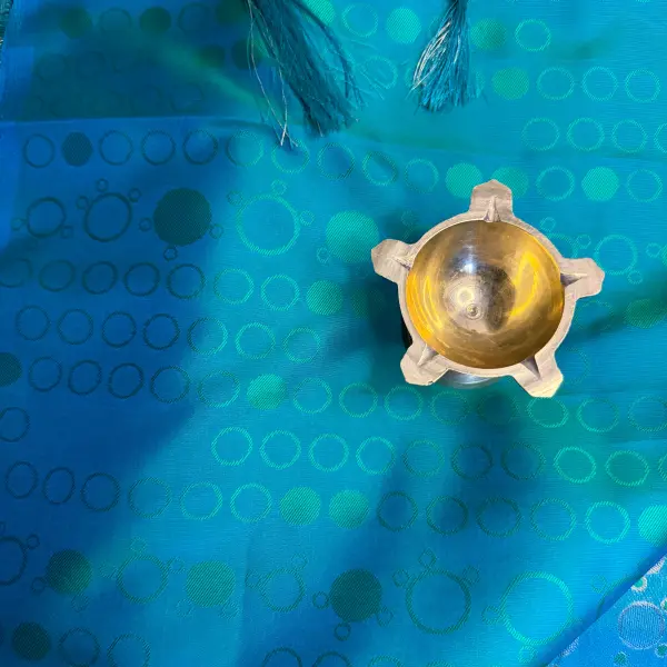 Sea Green with double shade Fancy Saree