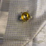 Cream Tissue Organza with Bird thread work Saree