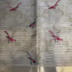 Cream Tissue Organza with Bird thread work Saree