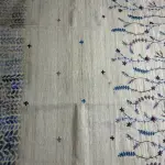 Cream Knit Work with digital print blouse Tussar Saree