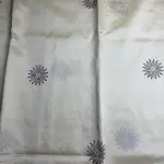 Cream With Hand Painted border & Pallu Tussar Silk Saree