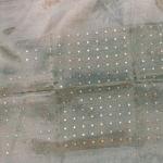 Olive Green Tissue Saree with Sequin Work and Nature Print Accents