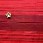 Red and black stripes dhaniakali cotton saree