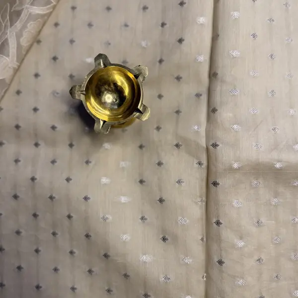 Light Beige Scallop Design Pure Organza Saree