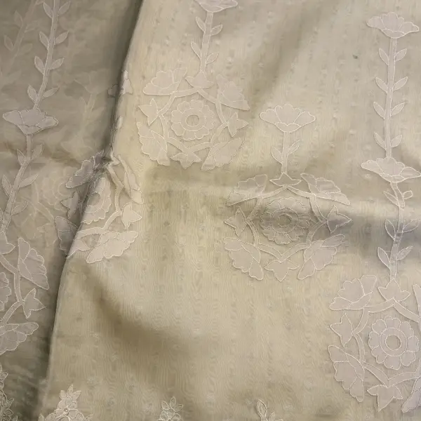 Light Beige Scallop Design Pure Organza Saree