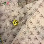 Peach thread work border digital print Linen Saree