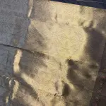 Gold with Black zari border tissue Semi Silk Saree