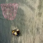 Military green tissue organza with sequin work party wear saree