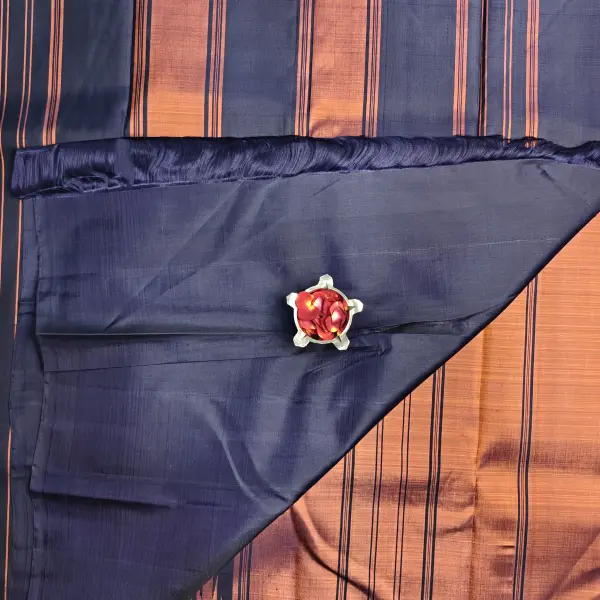 Honey orange with Navy blue Raising border silk saree